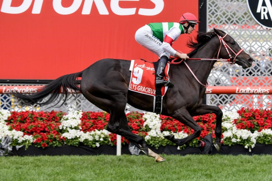 Lane and Lys Gracieux win £2.65m Cox Plate for Japan - Credit Racing Photos