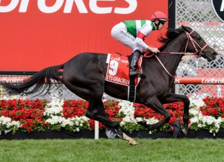 Lane and Lys Gracieux win £2.65m Cox Plate for Japan - Credit Racing Photos