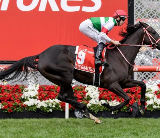 Lane and Lys Gracieux win £2.65m Cox Plate for Japan - Credit Racing Photos