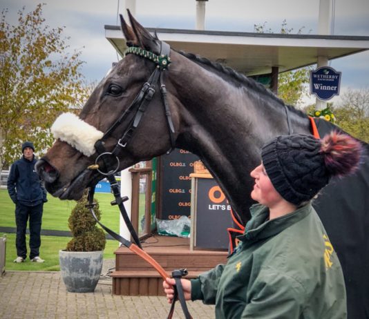 Lady Buttons set for Wetherby Lady Buttons set for Wetherby