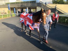 It’s Magic for O’Brien Ballydoyle maestro Aidan O'Brien declared Magical 'incredible' after - winning the Qipco Champion Stakes at Ascot - selected by fromthehorsesmouth.tips