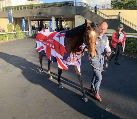 Ballydoyle maestro Aidan O'Brien declared Magical 'incredible' after - winning the Qipco Champion Stakes at Ascot - selected by fromthehorsesmouth.tips