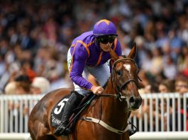 Tragic death of Wicklow Brave in American Grand National Tragic death of Wicklow Brave in American Grand National