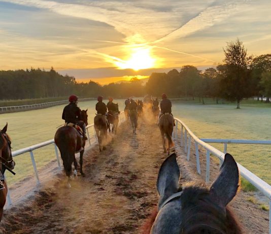 A Simply Beautiful November morning at Ballydoyle, the stable of Aidan O'Brien