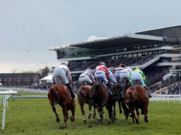 DIVA 14-1 LANDS CHELTENHAM GOLD Cheltenham Festival - lucky to go ahead in wake of coronavirus
