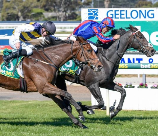Cross Counter to defend £4.25m Melbourne Cup crown Prince Of Arran winning the Bet365 Geelong Cup. Photo: Racing Photos