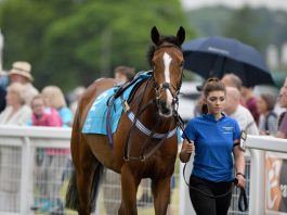 The successful candidate must be able to competently handle horses