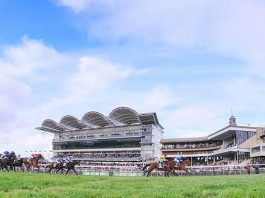 O'Brien and Gosden to strike at Newmarket and Chelmsford