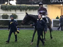 SOARING Glory's win on Saturday, under jockey Jonjo O'Neill jnr, completed a fromthehorsesmouth.tips 289-1 four-horse winning accumulator at Ascot.