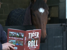 Tiger Roll - 8-1 to win three consecutive Grand Nationals.