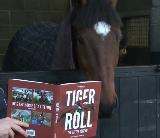 Tiger Roll - 8-1 to win three consecutive Grand Nationals.