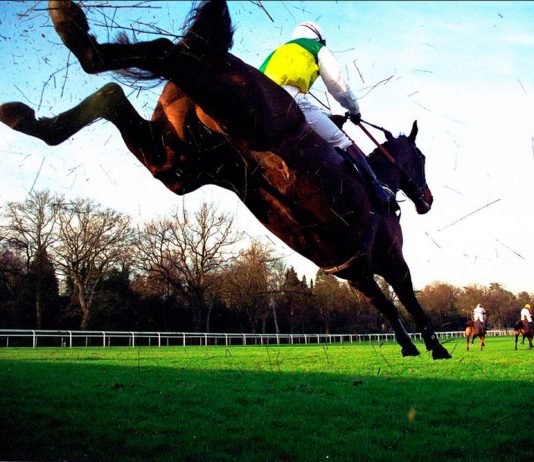 NH campaign gathers pace at Ascot, Wetherby and Ayr NH campaign gathers pace at Ascot, Wetherby and Ayr