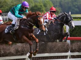 Hawk High to scalp Wetherby bookies? Saturday selections for Wetherby