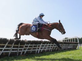 Bacardys all round at Leopardstown Bacardys all round at Leopardstown
