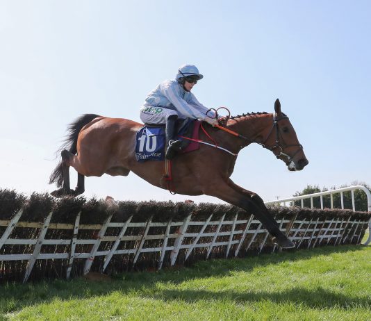 Bacardys all round at Leopardstown