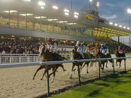 I’M ALRIGHT JACK! Dunstall Park Wolverhampton