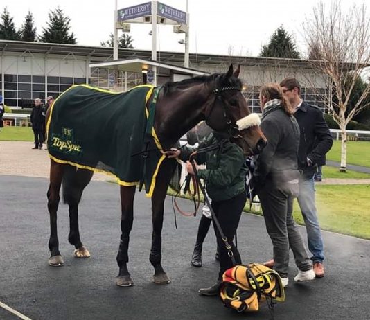 Reyna's World trained by Philip Kirby.