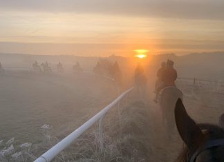 Frosty morning on the gallops