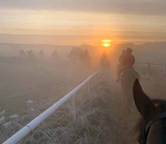 Frosty morning on the gallops