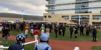 Bristol eyes Cheltenham Gold Cup ahead of Aintree Grand National