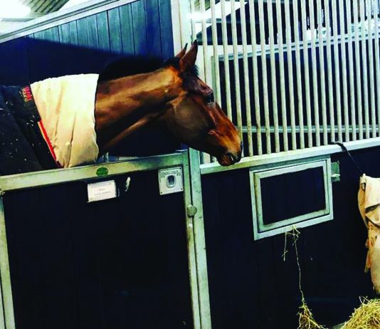 Altior to run in Desert Orchid Chase after King George V1 setback? Altior to run in Desert Orchid Chase after King George V1 setback?