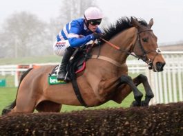 Philip Hobbs trained headlined tip Thyme Hill remains unbeaten over hurdles