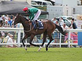 Alan Kirby tipped at Lingfield