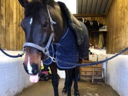 Happy Diva delighted with her new shoes