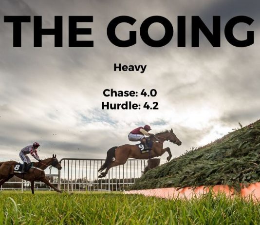 Silva lining for Sue Smith at Haydock Park Heavy going at Haydock