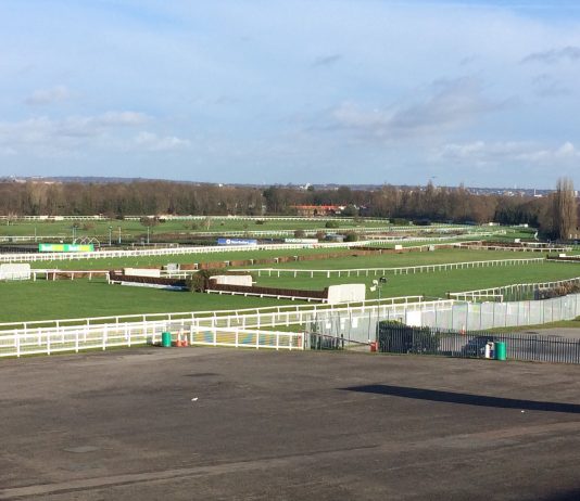 Ask Ben and Bold Plan to shine at Sandown Park Ask Ben and Bold Plan to shine at Sandown Park