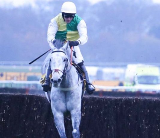 VINTAGE NATIONAL WIN WILL LEAVE TREVOR IN THE CLOUDS! Vintage Clouds - 2020 Grand National bid.