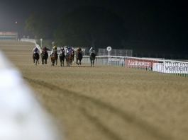 All-Weather at Newcastle on Saturday night