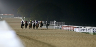 All-Weather at Newcastle on Saturday night