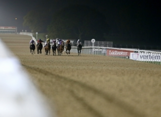 All-Weather at Newcastle on Saturday night