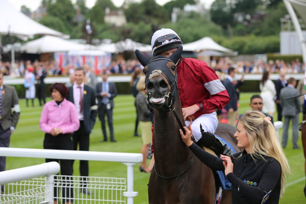 31,7441 elevenhorse winning accumulator Horse Racing News and Tips