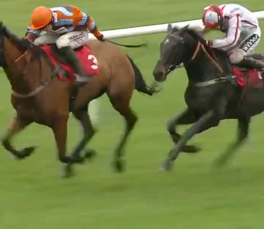 Mastertommytucker winning at Kempton