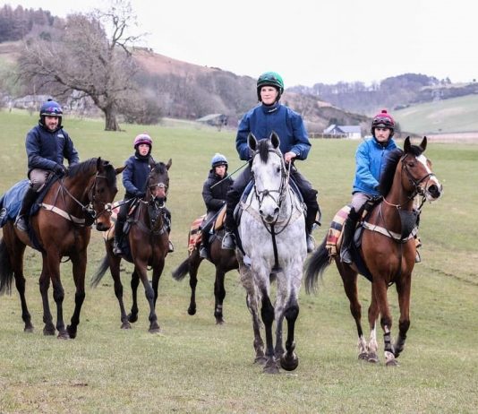 Focus on Trainer Nick Alexander