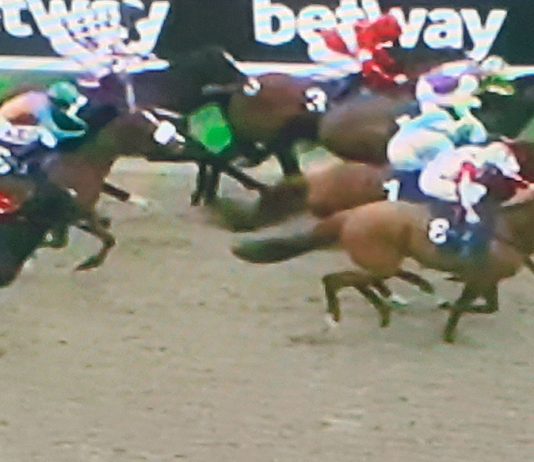 GOLIATH 49,234-1 RETURN! *El Hombre gets up to win by a head under Joe Fanning at Wolverhampton.