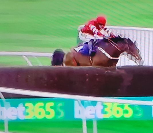 The Paddy Pie: 13 lengths win under Danny Cook.