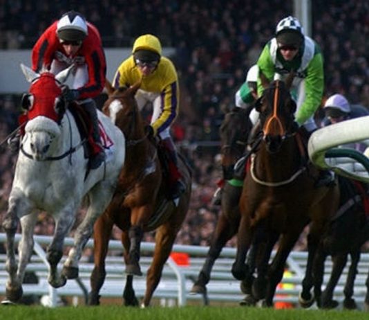 CHELTENHAM FESTIVAL DAY 1