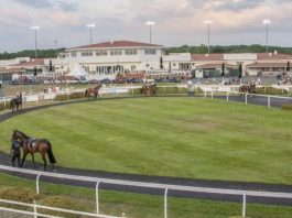 Chelmsford Racecourse