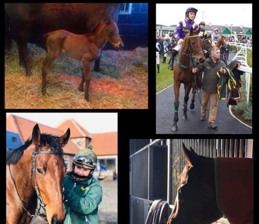 Fasterkhani suffers fatal injury during exercise