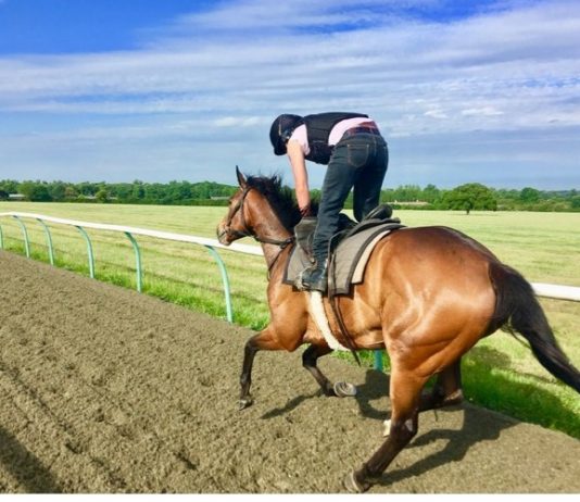 Trainer John Berry on course with Hopels High