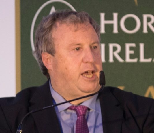 Concerns for Irish racing as June 29 date for return confirmed Horse racing Ireland CEO Brian Kavanagh