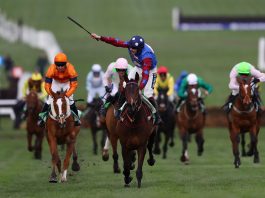 Racing await government nod to return in May - BHA chief Nick Rust