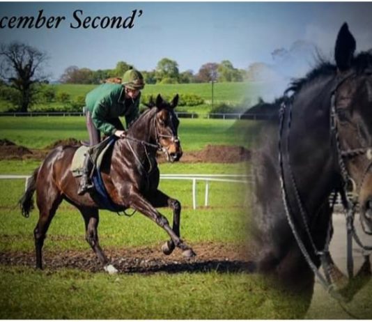 'Legend' December Second fatal accident at Newcastle