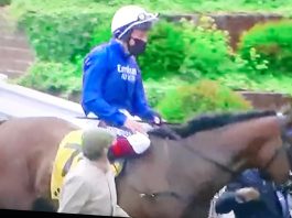 Dettori successful on tip Terebellum in Group 2 Betfair Fillies Stakes at Newmarket Daarik winning tip at Newcastle under Robert Havlin.