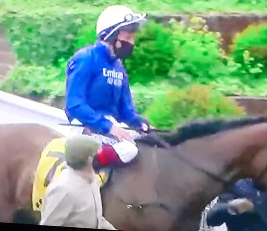 Dettori successful on tip Terebellum in Group 2 Betfair Fillies Stakes at Newmarket Daarik winning tip at Newcastle under Robert Havlin.