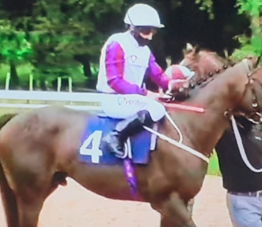 Bal Mal cruises through Redcar storms Mark Johnston trained Toussarok (purple sleeves) 5-4f entering the stalls ahead of winning at Newcastle.