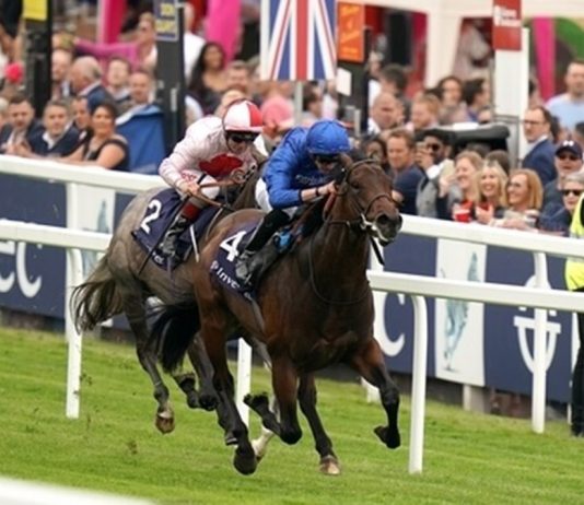Pinatubo hot in Saturday’s Group 1 C1 Qipco 2,000 Guineas at Newmarket Can Pinatubo maintain his unbeaten record and win the first Classic of the new flat season?